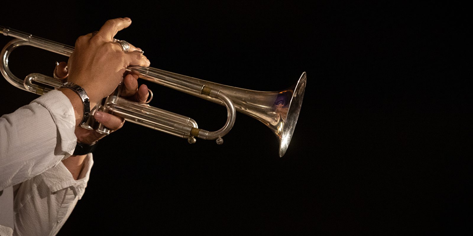 Falzone web SUONI MOBILI | MusicaorfosiMartedì 19 Luglio h 21.30
Chiesa di S. Anastasia,  Piazza Martiri di Belfiore 20058 Villasanta MBSPIRITUAL STANDARDS imprevedibili architetture sonore tra piano e grand’organo - PRIMA ASSOLUTA
Roberto Olzer: organo
Mike del Ferro (Olanda): pianoforteGiovanni Falzone: tromba