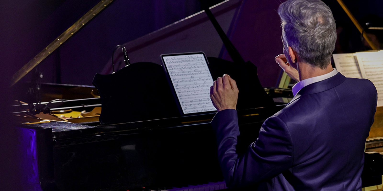 Ferlet web Ferlet web